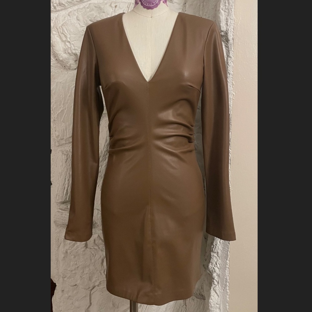 Zara Pleather Long Sleeve Mini Dress